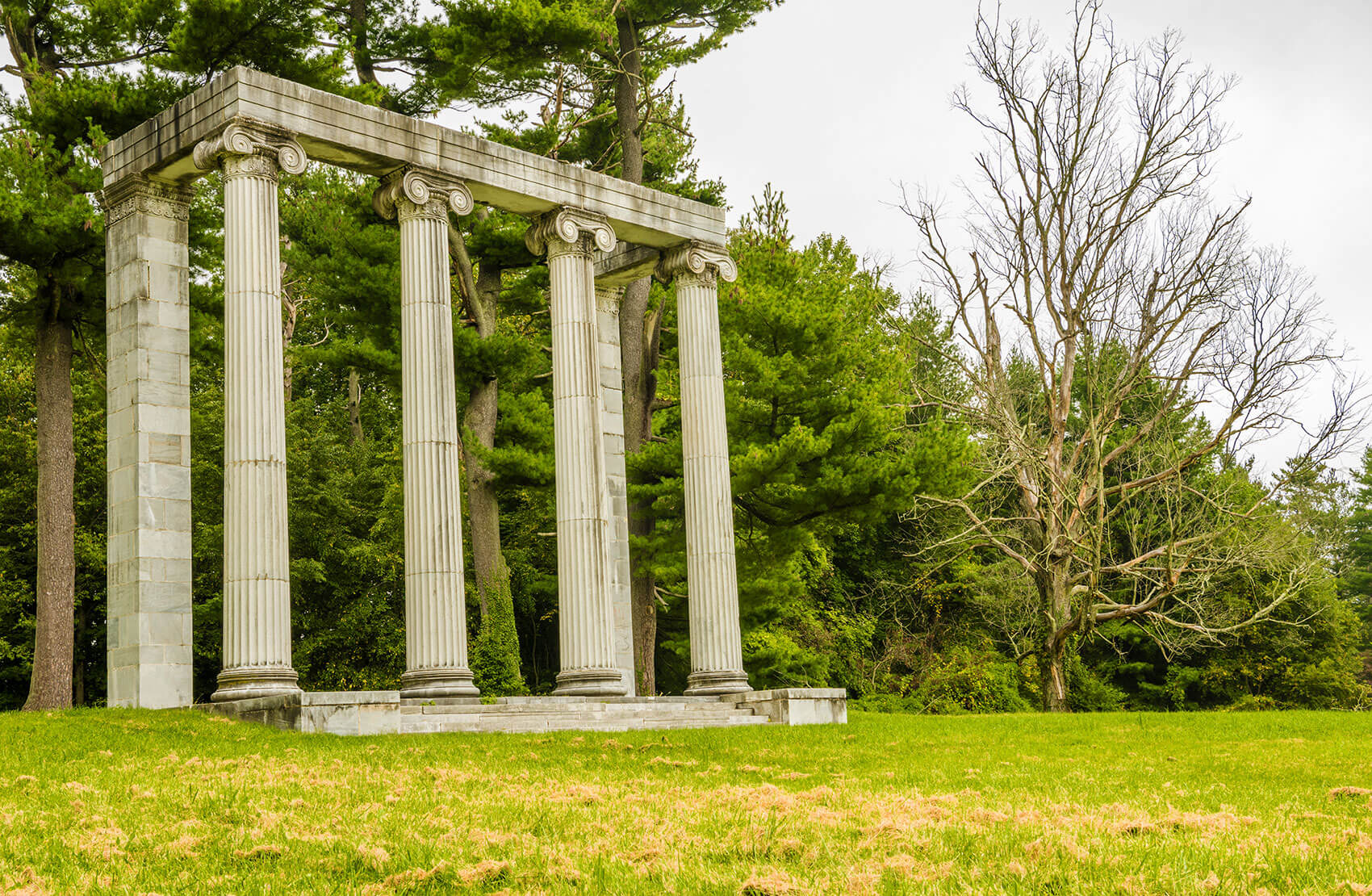 A-1 Tours 250 Years Private Tour New Jersey Princeton Battlefield A-1 Tours 250 Years Private Tour New Jersey Princeton Battlefield